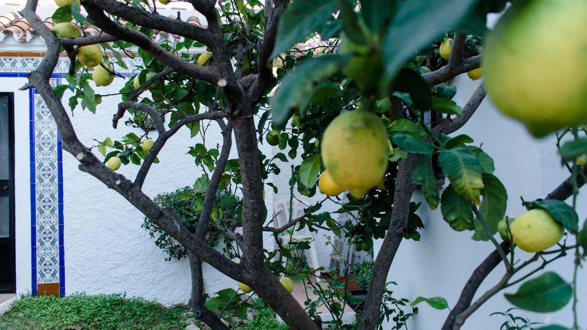 Casa Carina - 85 Βίλα Nerja 0*,  Ισπανία